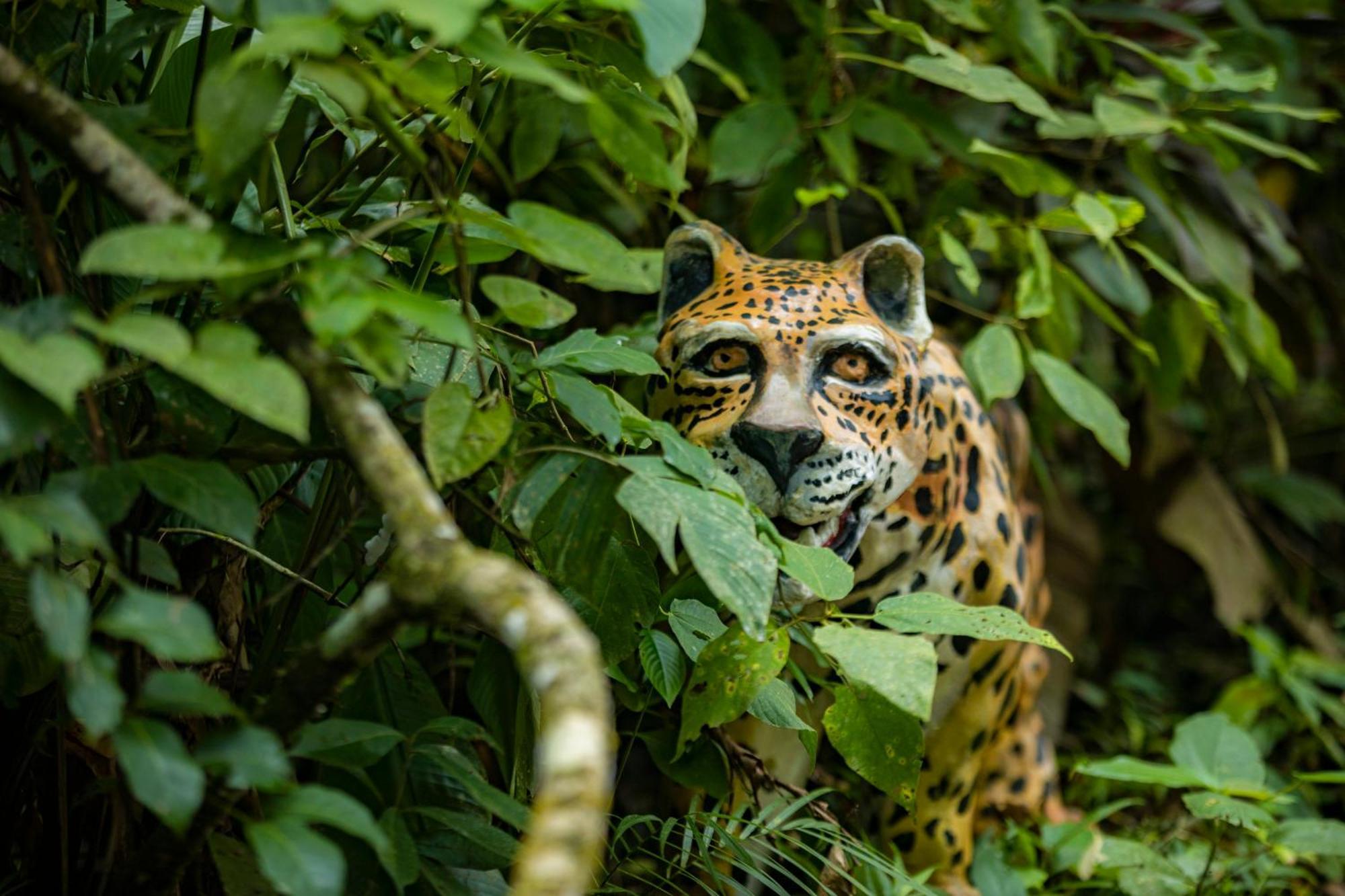 K'Erenda Homet Reserva Natural Puerto Maldonado Dış mekan fotoğraf