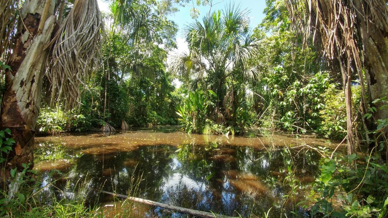 K'Erenda Homet Reserva Natural Puerto Maldonado Dış mekan fotoğraf
